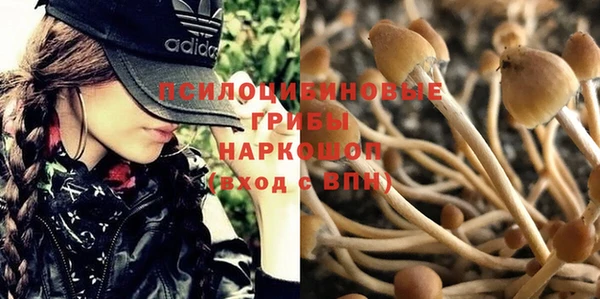 ешки Богородицк