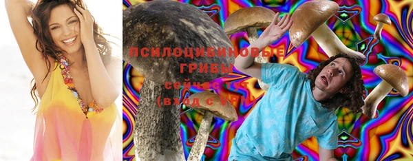 крисы Богородск
