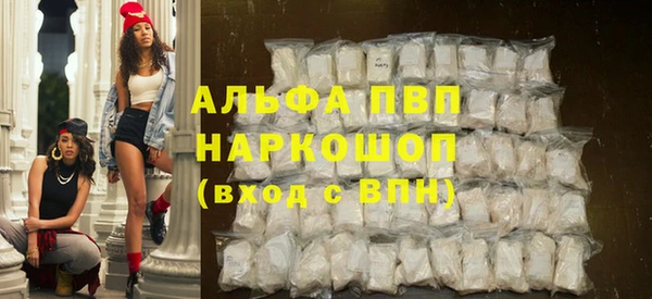 амф Снежногорск