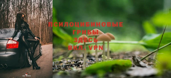 ешки Богородицк