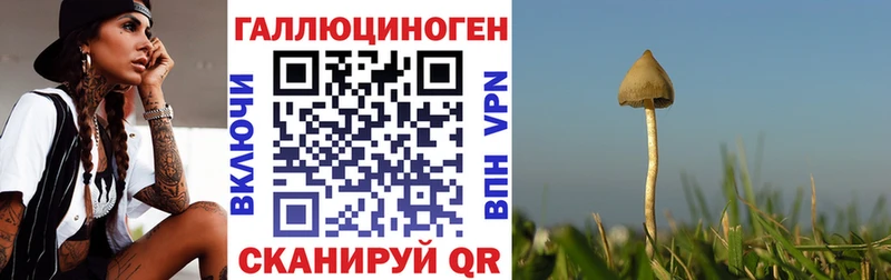 Галлюциногенные грибы ЛСД что такое Малоярославец