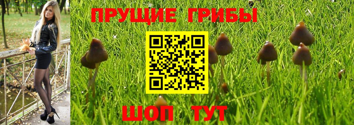 Галлюциногенные грибы ЛСД Малоярославец