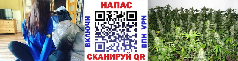 MEGA tor  Малоярославец  Бошки Шишки SATIVA & INDICA  где можно купить  